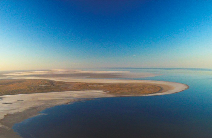 [Image: Beafraid_f-700x456.jpg]