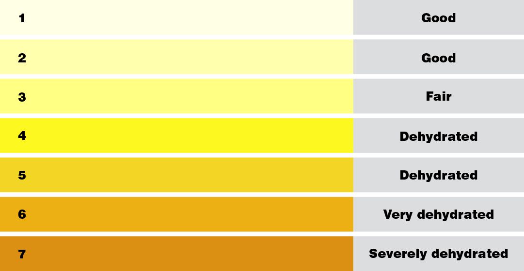 Urine Hydration Chart Australia