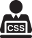 CSS input