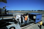 Horse cargo being loaded onto a DHL Boeing 727 (VH-DHE)