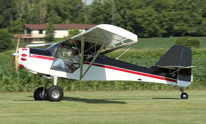 kitfox3