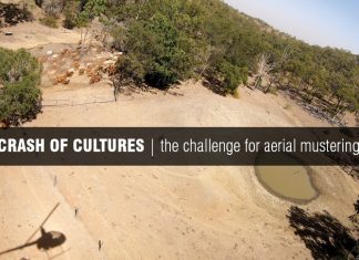 Screenshot the opening titles of the aerial mustering video