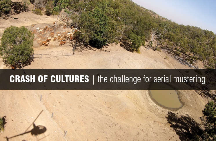 Screenshot the opening titles of the aerial mustering video
