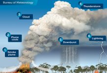 An illustration depicting the 6 stages of development of a pyrocumulonimbus cloud.