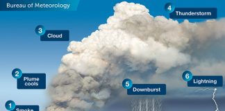 An illustration depicting the 6 stages of development of a pyrocumulonimbus cloud.