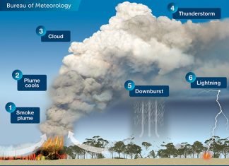 An illustration depicting the 6 stages of development of a pyrocumulonimbus cloud.