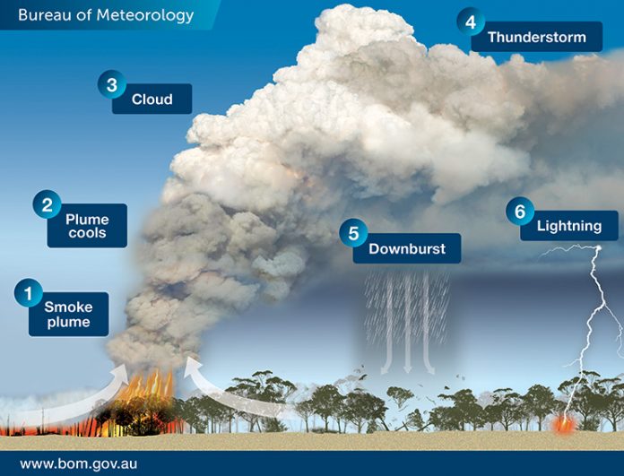 An illustration depicting the 6 stages of development of a pyrocumulonimbus cloud.