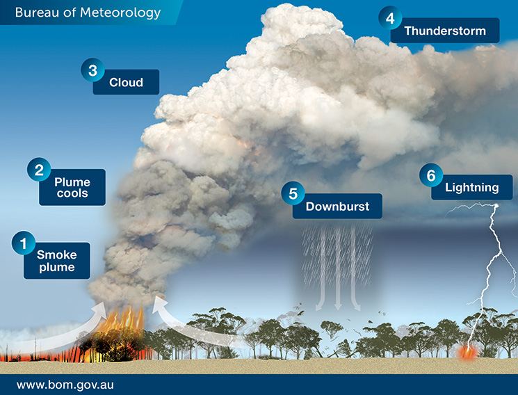 An illustration depicting the 6 stages of development of a pyrocumulonimbus cloud.