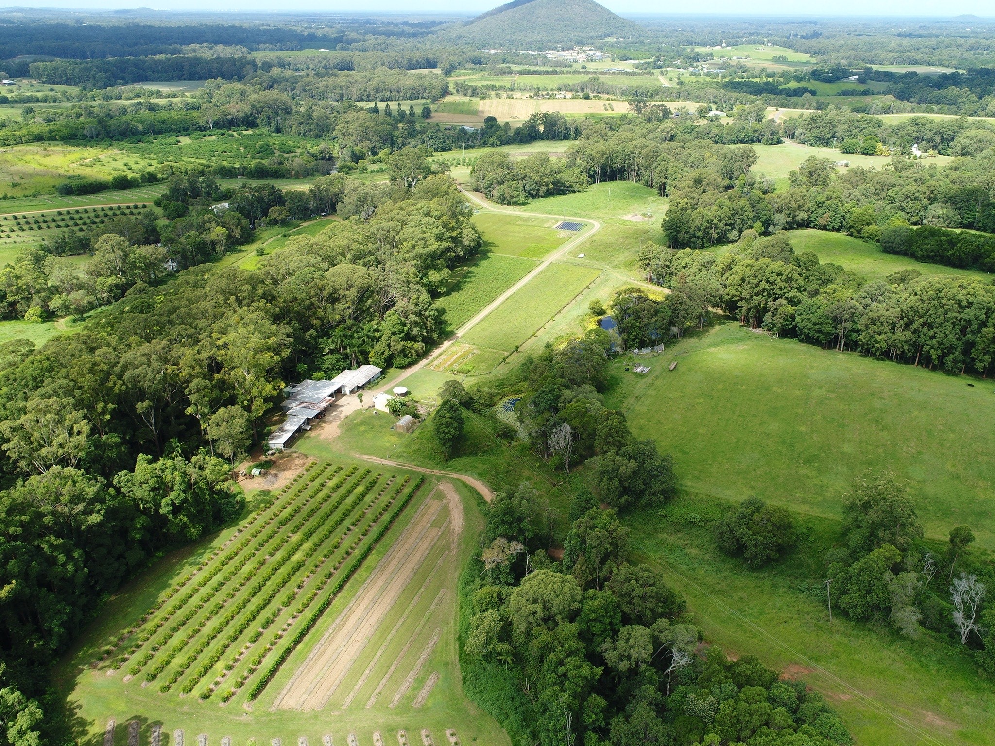 Jade King's farm