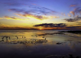 image | Ricketts Point, Chris Robert Perry