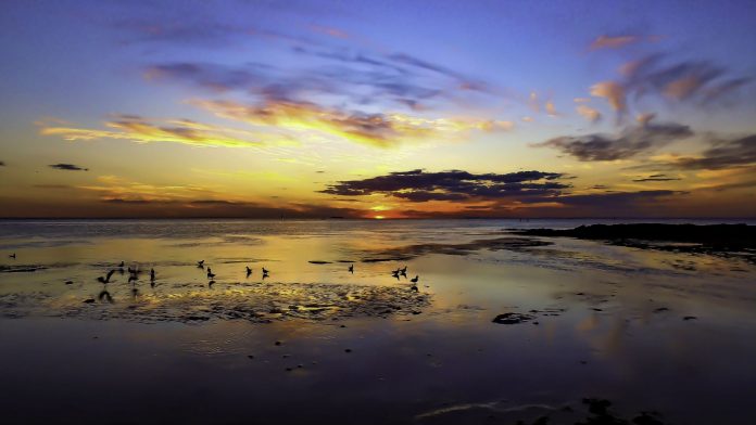 image | Ricketts Point, Chris Robert Perry