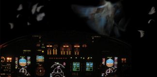 night view of aircraft cockpit with duck feathers outside