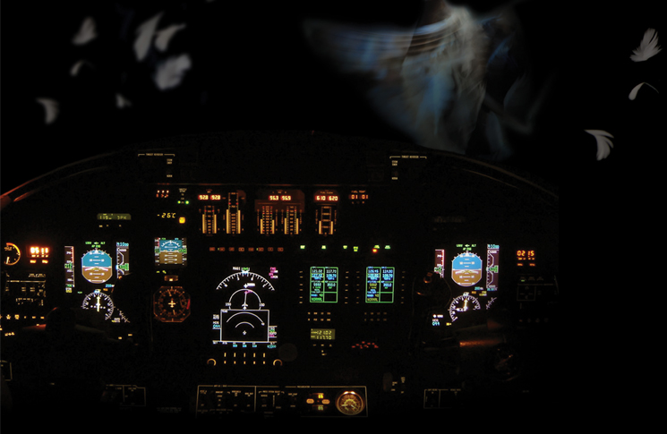 night view of aircraft cockpit with duck feathers outside