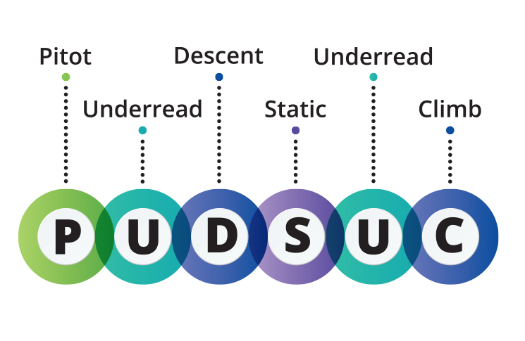 Diagram PUDSUC