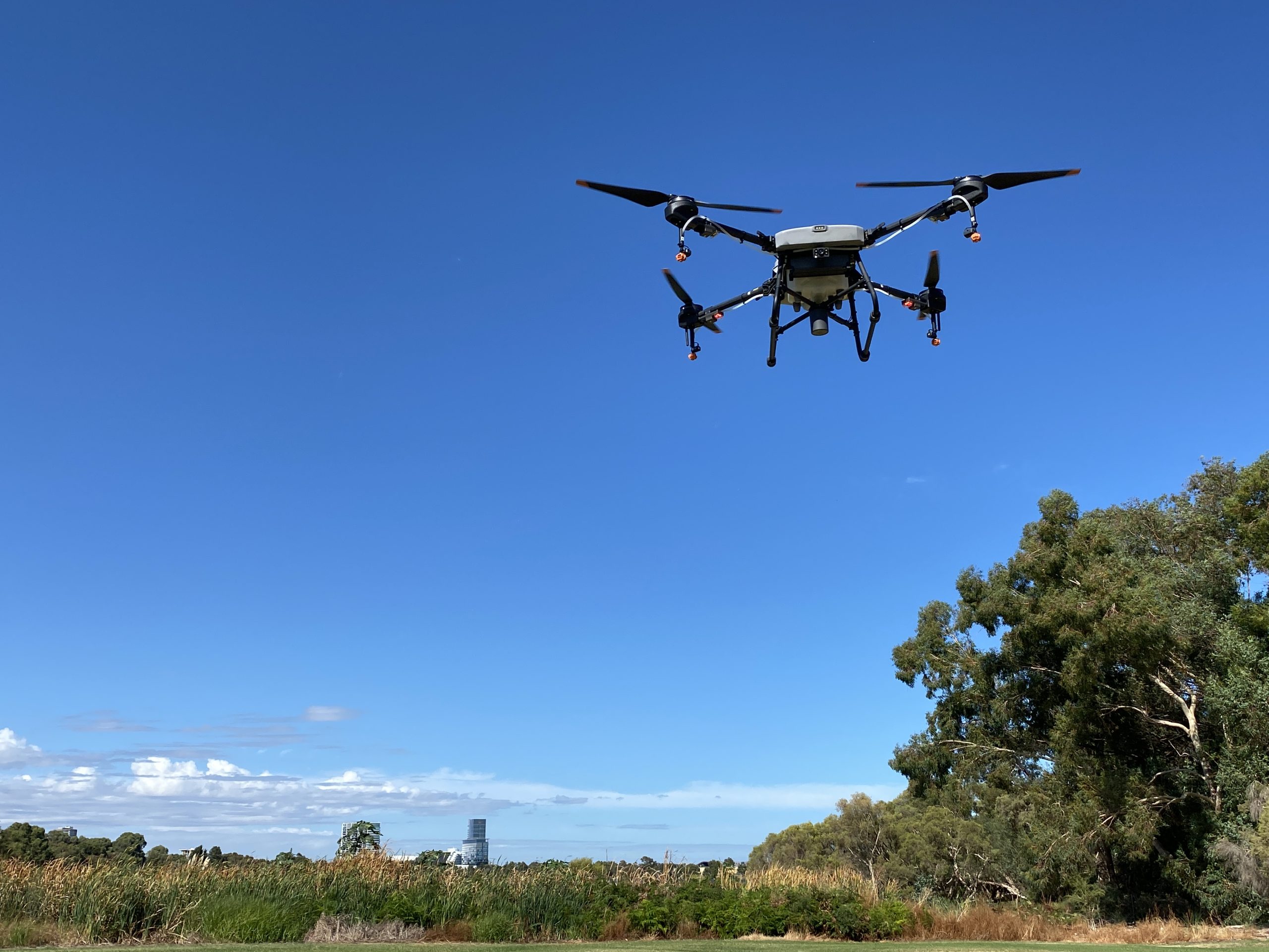 Drone mid-flight above the Berringa Wetlands