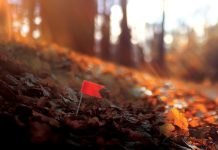 A red flag in autumn leaves, in a tree lined field near Pittsburgh