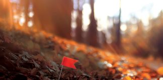 A red flag in autumn leaves, in a tree lined field near Pittsburgh