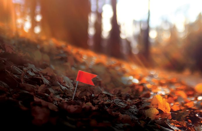A red flag in autumn leaves, in a tree lined field near Pittsburgh