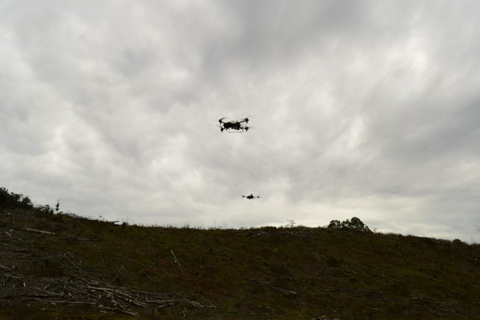 Swarm flight in progress.