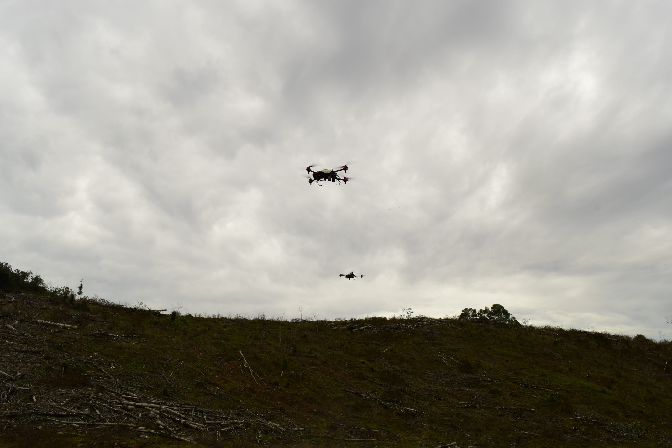 Swarm flight in progress.