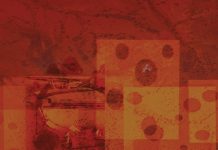 Montage of several images overlayed to create an abstract image. Image includes a small aircraft, an aerial view of a desert landscape and some swiss cheese.