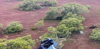 Making sure to miss: torque turns and other temptations The R22 accident site